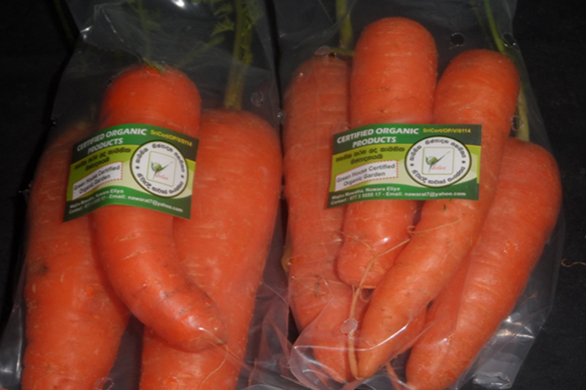 organic carrots vegetables farming