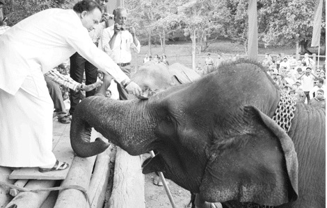 Sri Lanka’s Tourism Minister anoints elephants at Pinnawala orphanage