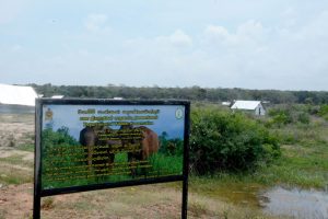 Wilpattu National Park