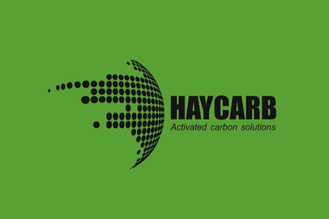 Haycarb 2018/9 turnover Rs.20.9Bn: Raw material cost impacts negatively