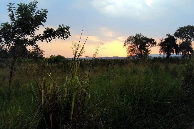 Sri Lanka’s agriculture to be modernized with World Bank funding