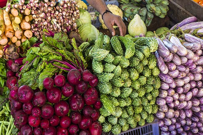 Sri Lanka to promote organic food production and open an export market for the products