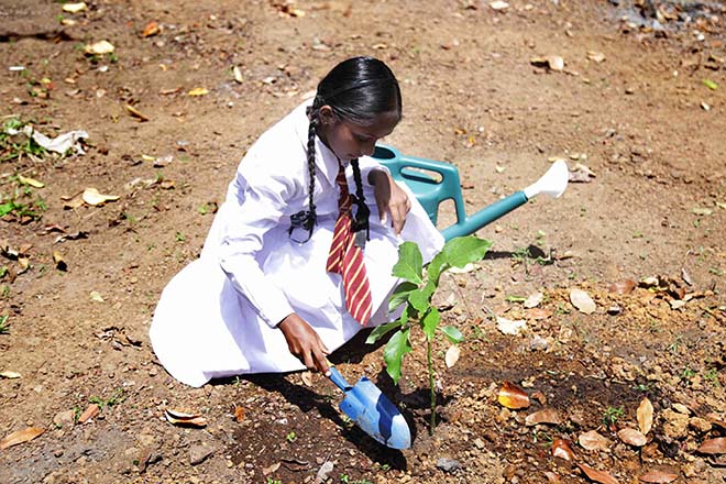 School gardens promoted by FAO and Sri Lanka’s education ministry