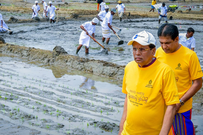 Animals destroy one-third of Sri Lanka’s crop production: President