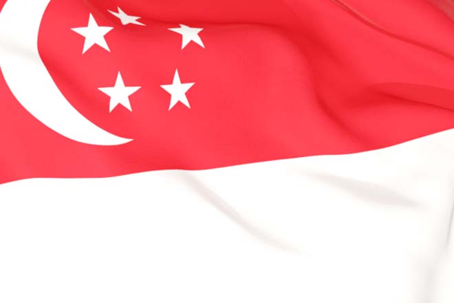 Singapore FTA: What it means for Trade and Investment Flows