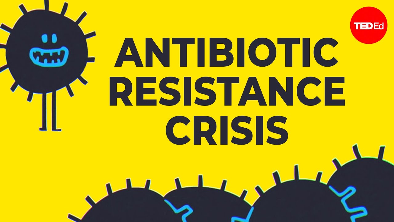 VIDEO: How can we solve the antibiotic resistance crisis?