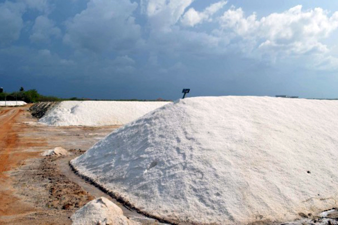 President sets one-year deadline for Lanka Salt to be profitable