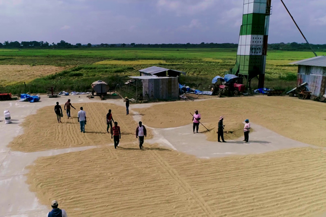Crysbro strengthens Sri Lanka’s food security agenda with seed paddy production