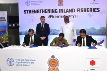 Japan Provides USD 3 Mn Through FAO to Strengthen Inland Fisheries in Sri Lanka