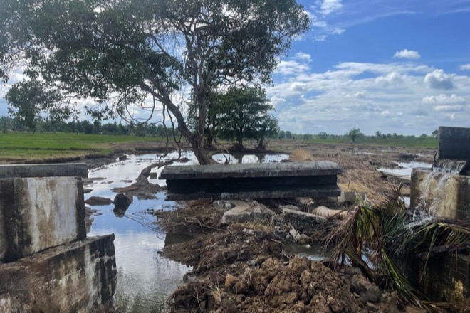 FAO Appeals for USD 16.5 Mn to Restore Livelihoods after Cyclone Ditwah Devastates SL’s Agrifood Sector